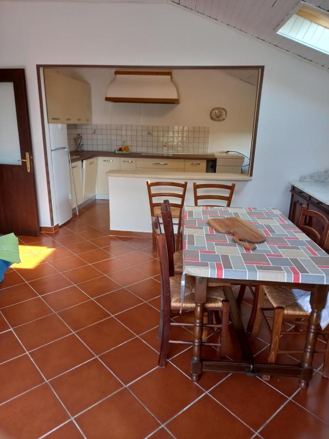 Apartments Miri Zambratija  Εξωτερικό φωτογραφία