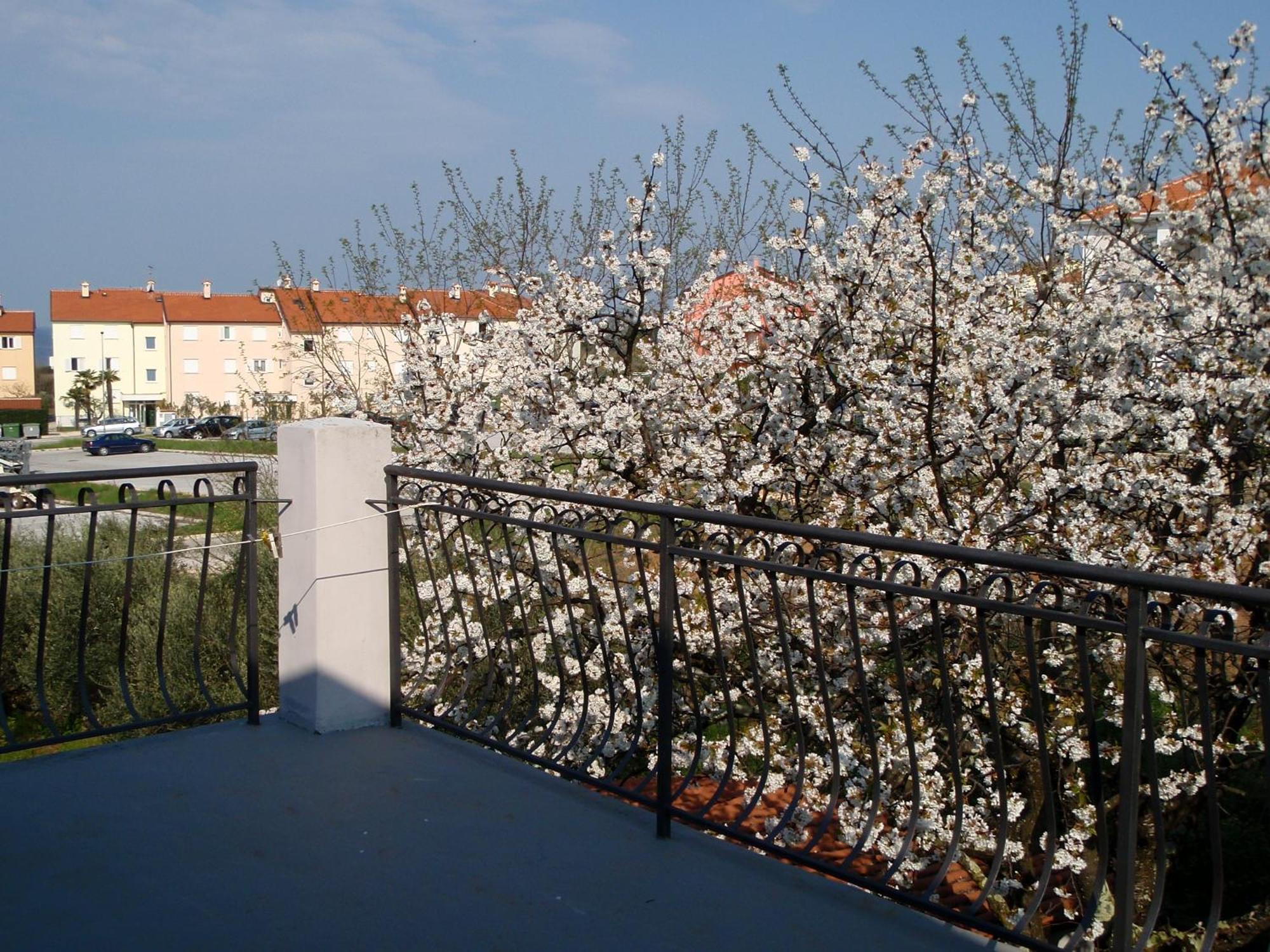 Apartments Miri Zambratija  Εξωτερικό φωτογραφία